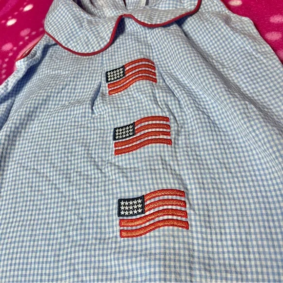 Stitchy Fish Blue Gingham Fourth Of July Collared Toddler Dress Size 3t - Picture 4 of 6